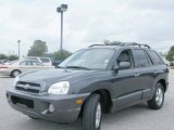 2005 Pewter Gray Hyundai Santa Fe LX 3.5 #544432