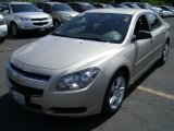 2010 Chevrolet Malibu LS Sedan