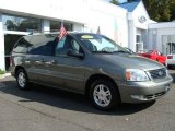 2006 Spruce Green Metallic Ford Freestar SEL #6736898