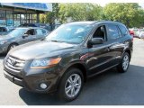 2011 Espresso Brown Hyundai Santa Fe SE AWD #67566065