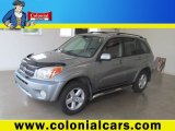 2004 Everglade Green Metallic Toyota RAV4 4WD #67594229