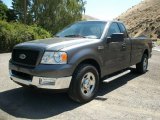 2004 Ford F150 XLT Regular Cab Front 3/4 View