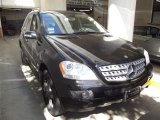 2008 Mercedes-Benz ML 350 4Matic