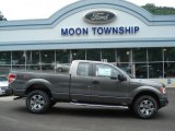 2012 Sterling Gray Metallic Ford F150 XLT SuperCab 4x4 #67593819