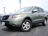 2007 Hyundai Santa Fe GLS 4WD