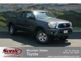 2012 Magnetic Gray Mica Toyota Tacoma V6 TRD Access Cab 4x4 #67644381