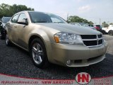 2010 White Gold Dodge Avenger R/T #67644263