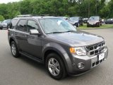 2010 Sterling Grey Metallic Ford Escape Limited V6 4WD #67713253