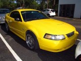 2004 Screaming Yellow Ford Mustang V6 Coupe #67713013