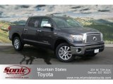 2012 Magnetic Gray Metallic Toyota Tundra Platinum CrewMax 4x4 #67712996