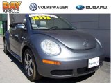 2006 Platinum Grey Volkswagen New Beetle 2.5 Convertible #6737550