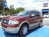 2012 Autumn Red Metallic Ford Expedition XLT #67744732
