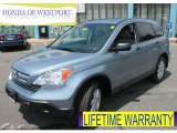 2009 Glacier Blue Metallic Honda CR-V EX 4WD #67744692