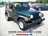 2001 Forest Green Jeep Wrangler SE 4x4 #67745228