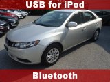 2010 Kia Forte EX