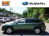 2013 Cypress Green Pearl Subaru Outback 2.5i Limited #67845295