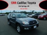 2005 Galactic Gray Mica Toyota 4Runner Limited 4x4 #67845542