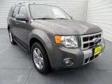 2009 Ford Escape Limited V6