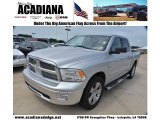 Bright Silver Metallic Dodge Ram 1500 in 2010