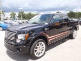 2011 Ford F150 Harley-Davidson SuperCrew 4x4 Front 3/4 View
