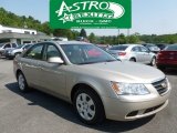 2009 Hyundai Sonata GLS