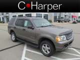 2004 Mineral Grey Metallic Ford Explorer XLT 4x4 #67961433