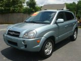 2006 Desert Sage Hyundai Tucson GLS V6 4x4 #68018950