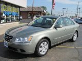 2010 Hyundai Sonata GLS