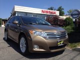 2009 Golden Umber Mica Toyota Venza AWD #68051342