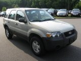 2005 Gold Ash Metallic Ford Escape XLS #68093923