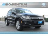 2013 Volkswagen Tiguan SE