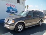 2006 Dark Stone Metallic Ford Expedition Eddie Bauer #68093281