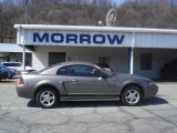 2002 Mineral Grey Metallic Ford Mustang V6 Coupe #6791364