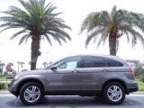 2010 Urban Titanium Metallic Honda CR-V EX-L #68152314