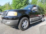 2005 Black Clearcoat Ford Expedition XLT #68153085