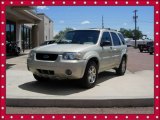 2005 Gold Ash Metallic Ford Escape Limited 4WD #68152592