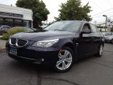 2009 Monaco Blue Metallic BMW 5 Series 528xi Sedan #68223267