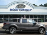 2012 Sterling Gray Metallic Ford F150 FX4 SuperCrew 4x4 #68223414