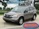 2010 Urban Titanium Metallic Honda CR-V EX #68223754