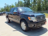 2012 Tuxedo Black Metallic Ford F150 Platinum SuperCrew 4x4 #68283621