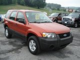 2007 Ford Escape XLS 4WD Front 3/4 View
