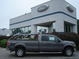 2012 Sterling Gray Metallic Ford F150 XLT SuperCab 4x4 #68282959