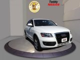 2009 Ibis White Audi Q5 3.2 Premium quattro #68361731