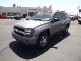 2007 Graystone Metallic Chevrolet TrailBlazer LS #68367245