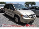 2006 Linen Gold Metallic Pearl Dodge Caravan SXT #68366836