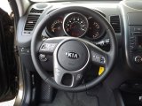 2013 Kia Soul + Steering Wheel