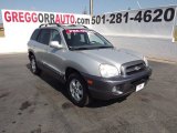 2006 Pewter Hyundai Santa Fe GLS #68406658