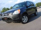 2004 Eternal Blue Pearl Honda CR-V EX 4WD #68406386