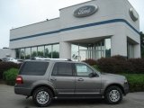 2012 Sterling Gray Metallic Ford Expedition Limited 4x4 #68468953