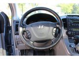 2007 Hyundai Entourage Limited Steering Wheel